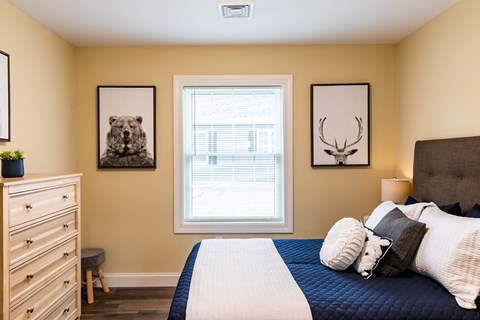 a bedroom with a bed and a dresser in front of a window